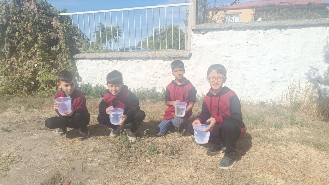 TOHUM TOPRAK VE TEMİZ HAVA